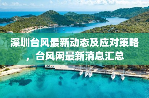 深圳台风最新动态及应对策略，台风网最新消息汇总