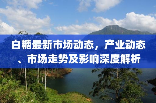 白糖最新市场动态，产业动态、市场走势及影响深度解析