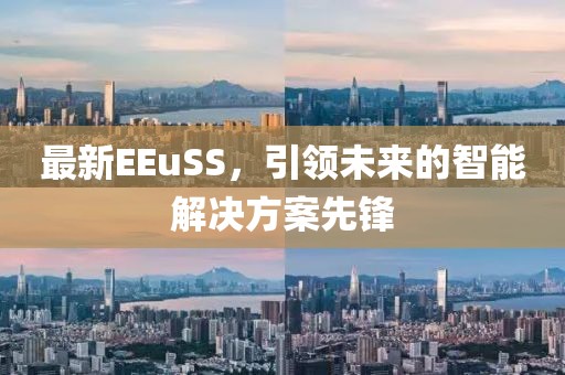 最新EEuSS，引领未来的智能解决方案先锋