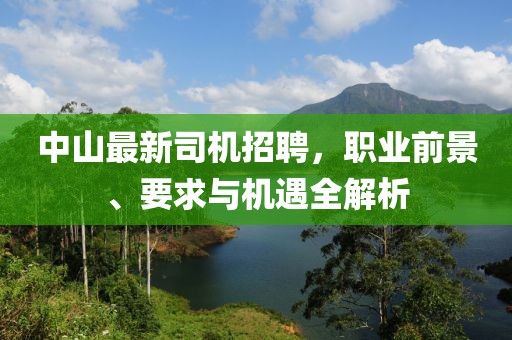 中山最新司机招聘，职业前景、要求与机遇全解析