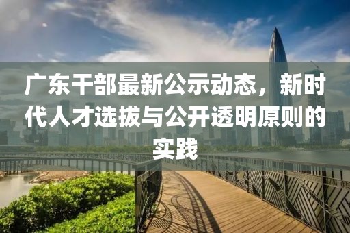 广东干部最新公示动态，新时代人才选拔与公开透明原则的实践