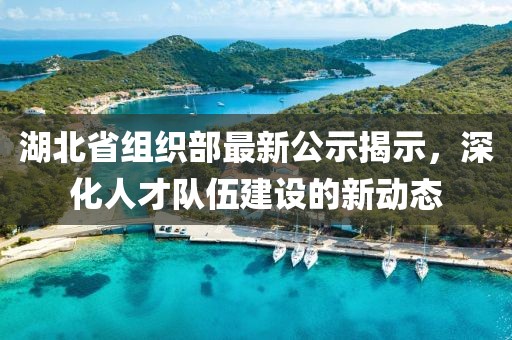 湖北省组织部最新公示揭示，深化人才队伍建设的新动态