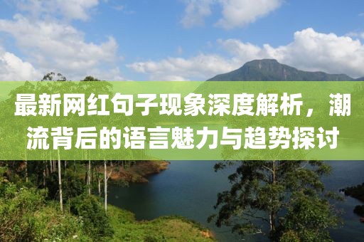 最新网红句子现象深度解析，潮流背后的语言魅力与趋势探讨