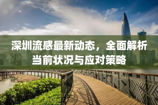 深圳流感最新动态，全面解析当前状况与应对策略