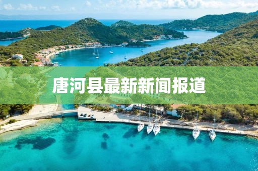 唐河县最新新闻报道