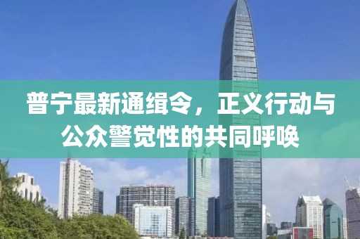 普宁最新通缉令，正义行动与公众警觉性的共同呼唤