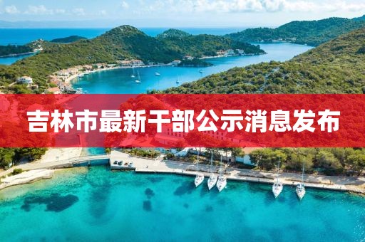 吉林市最新干部公示消息发布