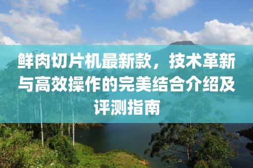 鲜肉切片机最新款，技术革新与高效操作的完美结合介绍及评测指南