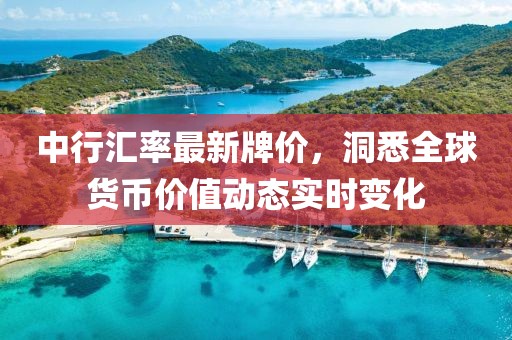 中行汇率最新牌价，洞悉全球货币价值动态实时变化