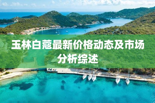 玉林白蔻最新价格动态及市场分析综述