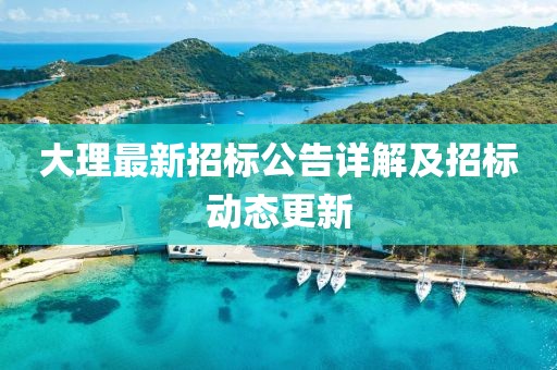 大理最新招标公告详解及招标动态更新