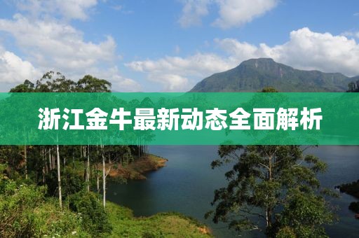 浙江金牛最新动态全面解析