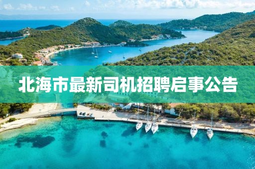 北海市最新司机招聘启事公告