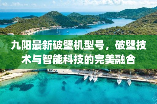 九阳最新破壁机型号，破壁技术与智能科技的完美融合