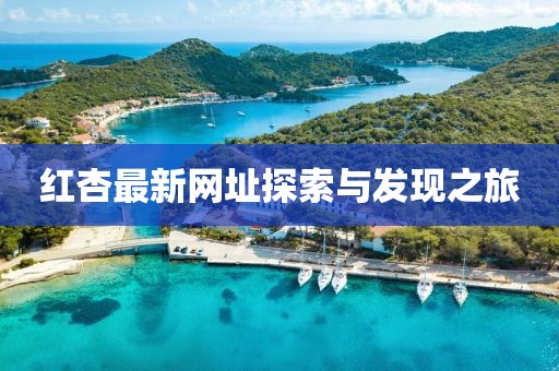 红杏最新网址探索与发现之旅