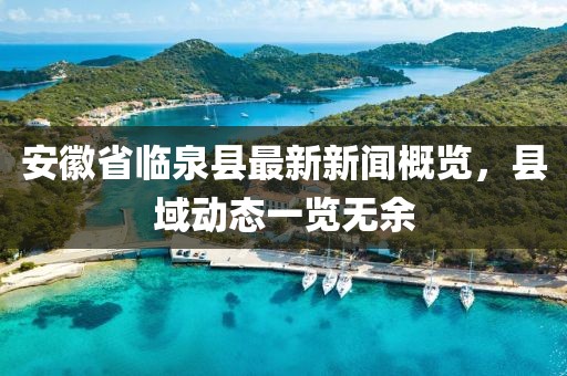 安徽省临泉县最新新闻概览，县域动态一览无余