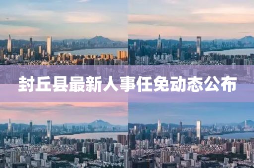 封丘县最新人事任免动态公布