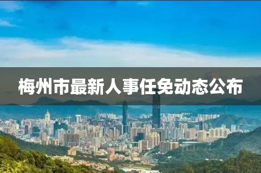 梅州市最新人事任免动态公布