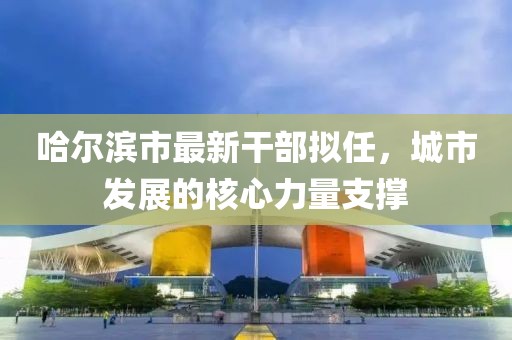 哈尔滨市最新干部拟任，城市发展的核心力量支撑