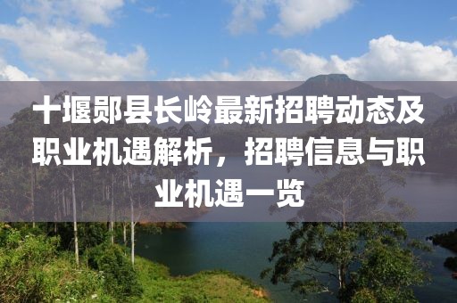 十堰郧县长岭最新招聘动态及职业机遇解析，招聘信息与职业机遇一览