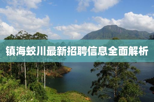 镇海蛟川最新招聘信息全面解析