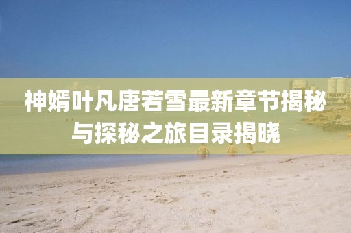 神婿叶凡唐若雪最新章节揭秘与探秘之旅目录揭晓