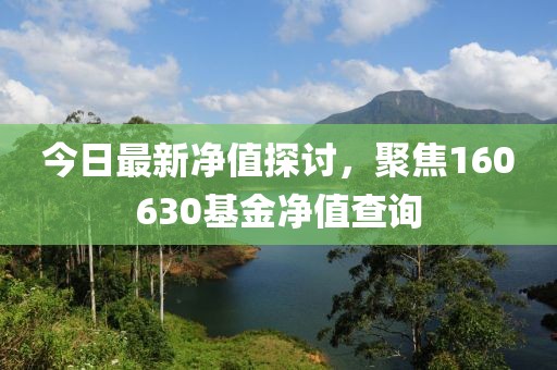 今日最新净值探讨，聚焦160630基金净值查询