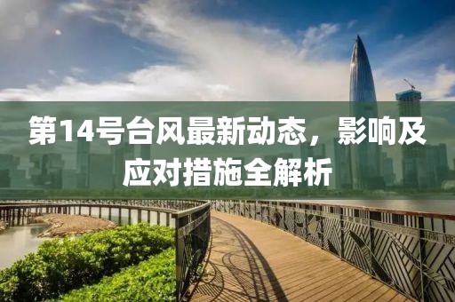 第14号台风最新动态，影响及应对措施全解析