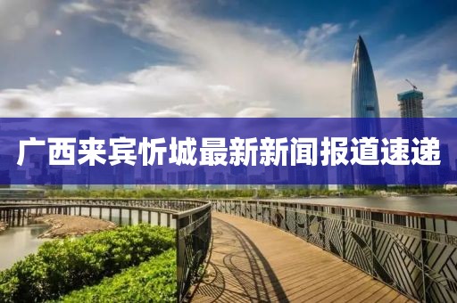 广西来宾忻城最新新闻报道速递