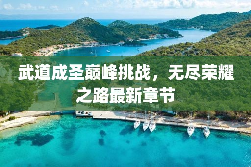 武道成圣巅峰挑战，无尽荣耀之路最新章节