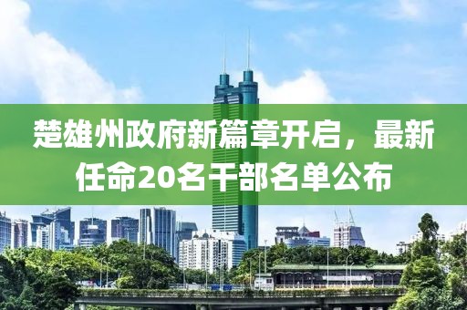 楚雄州政府新篇章开启，最新任命20名干部名单公布