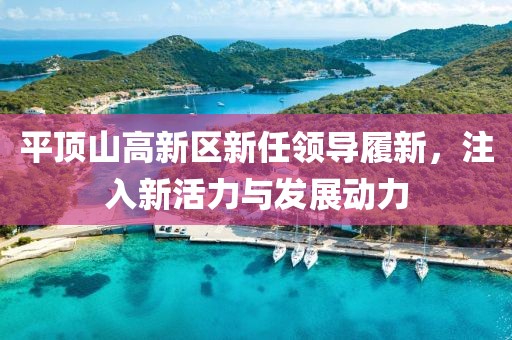 平顶山高新区新任领导履新，注入新活力与发展动力