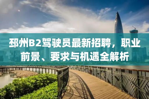 邳州B2驾驶员最新招聘，职业前景、要求与机遇全解析