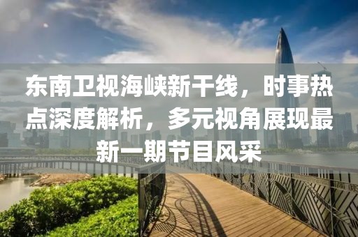 东南卫视海峡新干线，时事热点深度解析，多元视角展现最新一期节目风采