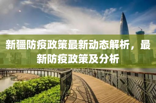 新疆防疫政策最新动态解析，最新防疫政策及分析