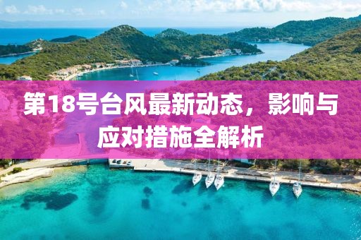 第18号台风最新动态，影响与应对措施全解析