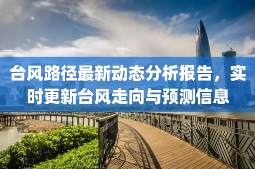 台风路径最新动态分析报告，实时更新台风走向与预测信息