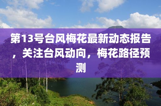 第13号台风梅花最新动态报告，关注台风动向，梅花路径预测