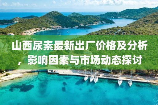 山西尿素最新出厂价格及分析，影响因素与市场动态探讨