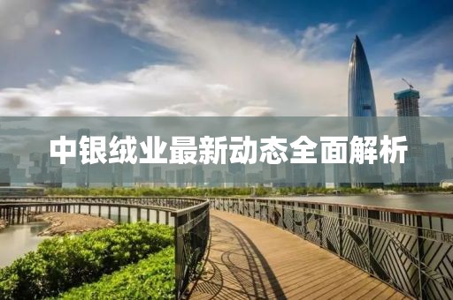 中银绒业最新动态全面解析