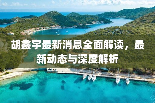 胡鑫宇最新消息全面解读，最新动态与深度解析