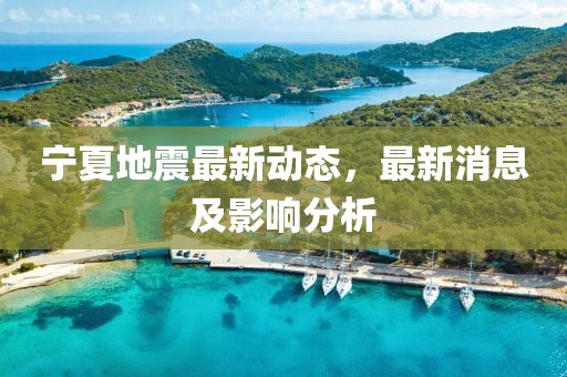 宁夏地震最新动态，最新消息及影响分析