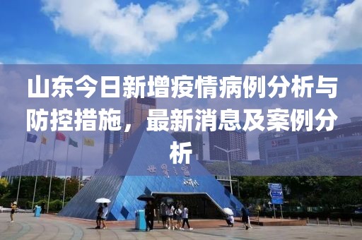 山东今日新增疫情病例分析与防控措施，最新消息及案例分析