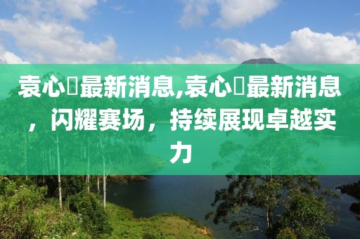 袁心玥最新消息,袁心玥最新消息，闪耀赛场，持续展现卓越实力