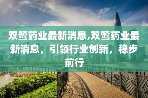 双鹭药业最新消息,双鹭药业最新消息，引领行业创新，稳步前行