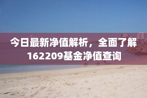 今日最新净值解析，全面了解162209基金净值查询