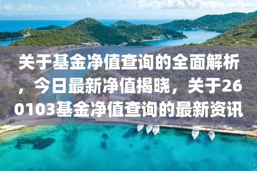 关于基金净值查询的全面解析，今日最新净值揭晓，关于260103基金净值查询的最新资讯