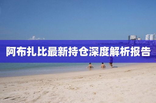 阿布扎比最新持仓深度解析报告