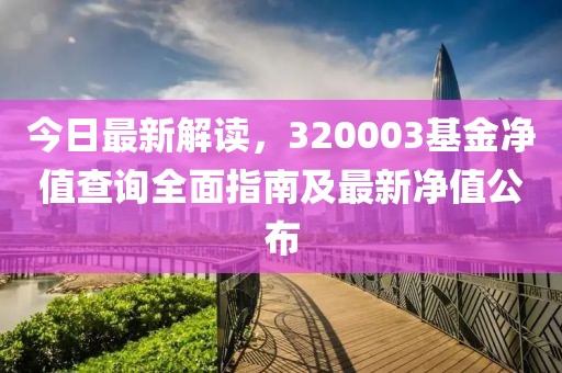 今日最新解读，320003基金净值查询全面指南及最新净值公布