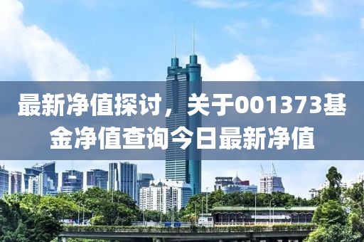 最新净值探讨，关于001373基金净值查询今日最新净值